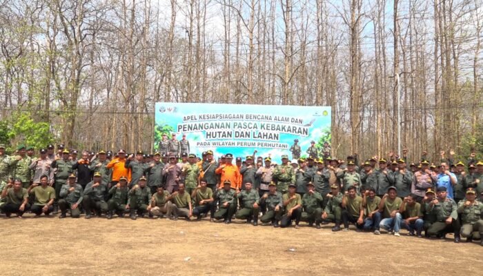 Perhutani Siapkan 200 Juta Bibit, Siaga Ancaman Kebakaran dan Banjir